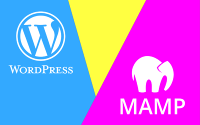 How to Install WordPress Locally using MAMP