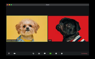 The Right Tool for Common work Tasks